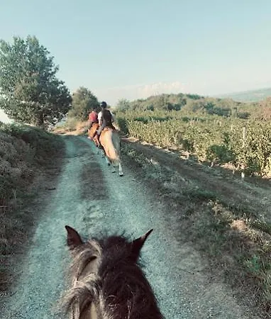 Cascina Galli Отель типа 